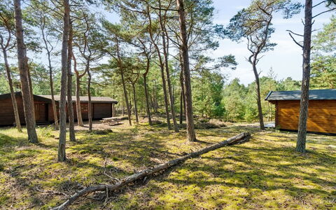 Sonya - 350M from the Sea: Arbre, Bois, Lot Terre, Zone Rurale, Chalet, Forêt, Des Bois, Tronc, Batiments Jardin, Cabanon