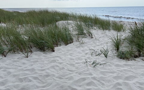 Sonya - 350M from the Sea: Environnement Naturel, Le Sable, Plage, Rive, Côte, L'Hiver, Neige