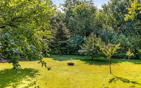 Berner - 30Km from the Sea: Vert, Feuille, Jaune, La Nature, Herbe, Arbre, Environnement Naturel, Branche, Végétation, Arbuste