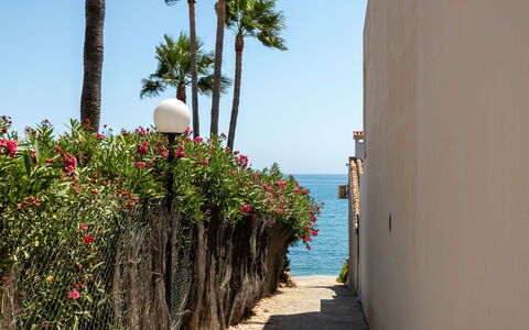 Pia'S Sea Dream: Vert, Feuille, Plante, Arbre, Biome, Herbe, Loisir, Suppression Des Plantes Ligneuses, Design Urbain, Teintes Et Ombres