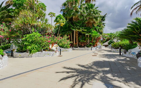 Costa del Silencio 603: Suppression Des Plantes Ligneuses, Passerelle, Ombre, Loisir, Vacances, Tropiques, Jardin, Aménagement Paysager, Allée