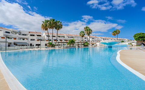 Costa del Silencio 603: Piscine, Loisir, Vacances, Ombre, Recours, Ville Resort, Hôtel, Tropiques