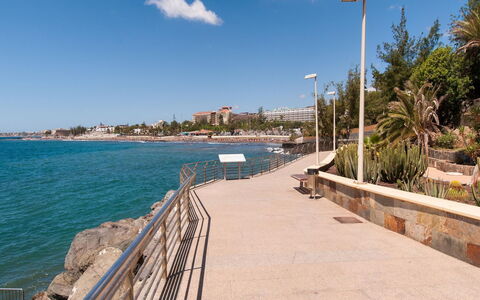 San Agustin Et2: Vert, Feuille, Plante, Arbre, Biome, Herbe, Loisir, Suppression Des Plantes Ligneuses, Design Urbain, Teintes Et Ombres