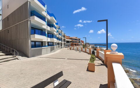 Neptuno Suite Playa: Vert, Feuille, Plante, Arbre, Biome, Herbe, Loisir, Suppression Des Plantes Ligneuses, Design Urbain, Teintes Et Ombres