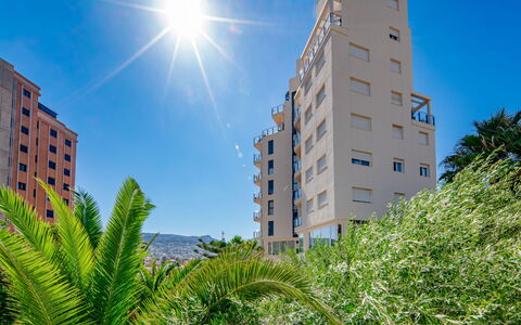 Mascarat: Vert, Feuille, Plante, Arbre, Biome, Herbe, Loisir, Suppression Des Plantes Ligneuses, Design Urbain, Teintes Et Ombres