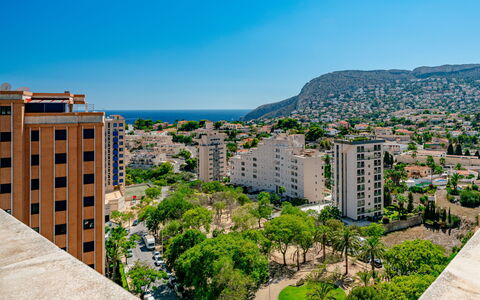 Mascarat: Vert, Feuille, Plante, Arbre, Biome, Herbe, Loisir, Suppression Des Plantes Ligneuses, Design Urbain, Teintes Et Ombres