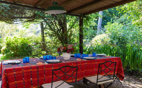 Il Giardino di Eugenia: Plante, Table, Meubles, Ombre, Mobilier De Jardin, Arbre, Nappe De Table, Tableau De Plein Air, Chaise, Rectangle
