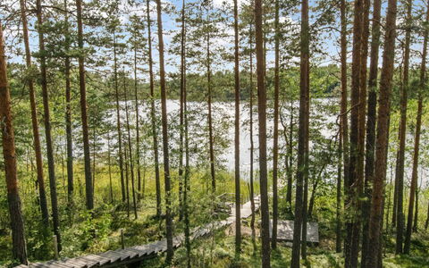 Karhupirtti: Feuille, Arbre, Environnement Naturel, Vert, Bois, Végétation, Forêt, Bosquet, Communauté Des Plantes