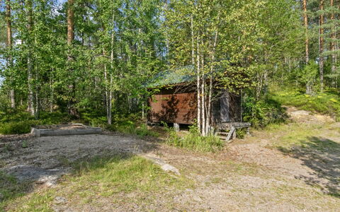 Karhupirtti: Arbre, Environnement Naturel, Feuille, Bois, Communauté Des Plantes, Forêt, Des Bois, Tronc, Bosquet