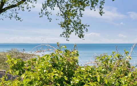 Titta - 10M to the Fjord: Bleu, Arbuste, Chalet, Couverture De Sol, Jardin, Biens, Ombre, Aménagement Paysager, Ferme, Eco Hôtel