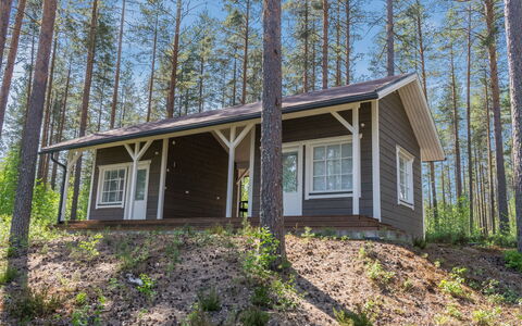 Kotaniemi: Bois, Chalet, Domicile, Siding, Cabane En Rondins, Des Bois, Forêt, Batiments Jardin, Dur, Porche