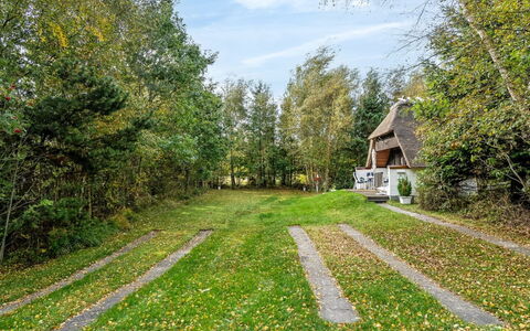 Adina - from the Sea: Arbre, Herbe, Arbuste, Jardin, Zone Rurale, Printemps, Chalet, Pelouse, Prairie, Aménagement Paysager