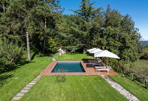 Villa Chicco: Plante, Ciel, Parapluie, Botanique, Arbre, Ombre, Lot Terre, Herbe, Piscine, Loisir