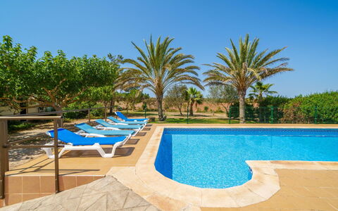 Cas Forner: Ciel, L'Eau, Plante, Bleu Azur, Rectangle, Piscine, Ombre, Mobilier De Jardin, Arbre, Arecales