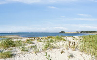 Nilson - 50M from the Sea