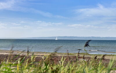Nilson - 50M from the Sea