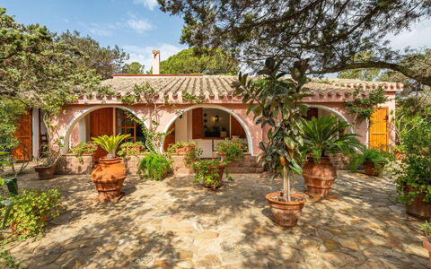 Atzeni: Plante, Propriété, Ciel, Bâtiment, Arbre, Lot Terre, Nuage, Arecales, Maison, Paysage