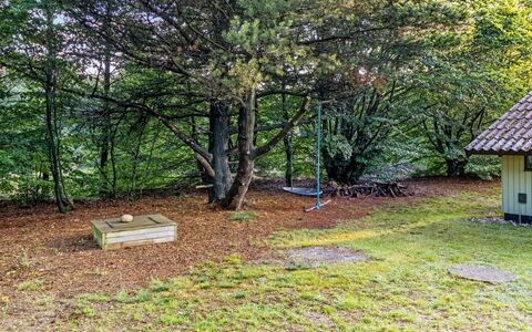 Torhild - 30Km from the Sea: Feuille, Arbre, Herbe, Branche, Bois, Arbuste, Lot Terre, Tronc, Couverture De Sol, Jardin