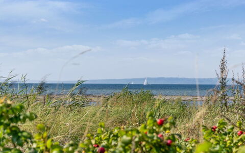 Joella - 75M from the Sea: Toit, Maison, Domicile, Chalet, Siding, Biens, Allée, Batiments Jardin, Cour, Cabanon