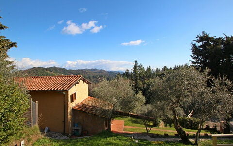La Maggiolina & La Bastide: Nuage, Plante, Ciel, Propriété, Écorégion, Paysage Naturel, Arbre, Environnement Naturel, Fenêtre, Lot Terre