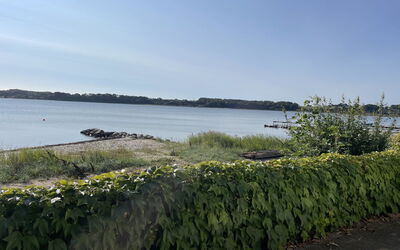 Drifa - 20M from the Sea