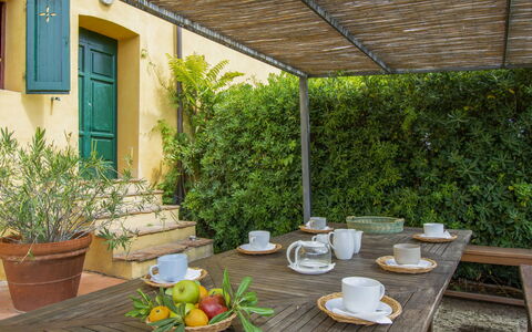 Mattonai: Plante, Propriété, Table, Vaisselle, Bâtiment, Aliments, Fenêtre, Mobilier De Jardin, Vaisselle, Ombre