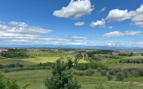 Ciliegino Spereto Apartment, Pool And Relax , Mont: Ciel, Jour, Environnement Naturel, Herbe, La Nature, Nuage, Horizon, Végétation, Paysage Naturel, Prairie