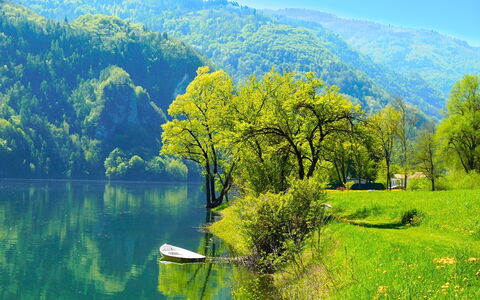 Apartment With Garden, Del Corlo Lake, Belluno: L'Eau, Ciel, Plante, Vert, Montagne, Bleu Azur, Paysage Naturel, Arbre, Montagnes, Lac