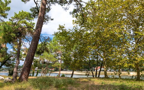 Mimizan 406: Plante, Ciel, Nuage, Arbre, Paysage Naturel, Tronc, Brindille, Herbe, Teintes Et Ombres, Ombre