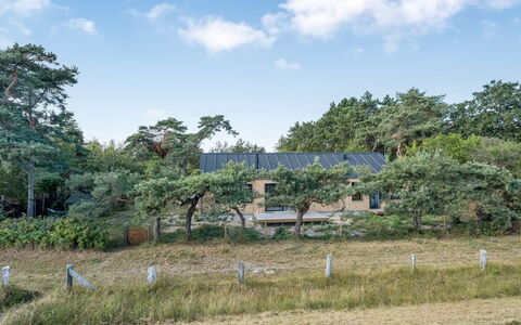 Kaila - 50M from the Sea: Arbre, Arbuste, Lot Terre, Communauté Des Plantes, Domicile, Zone Rurale, Chalet, Jardin, Ferme