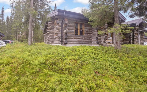 Kaukonkelo: Bois, Chalet, Siding, Cabane En Rondins, Tache De Bois, Dur, Planche, Lumber, Matériau Naturel, Batiments Jardin