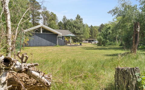 Tyyne - 250M from the Sea: Herbe, Arbre, Maison, Chalet, Arbuste, Domicile, Lot Terre, Zone Rurale, Paysage