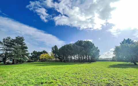 Saint Philibert 163: Nuage, Ciel, Plante, Écorégion, Paysage Naturel, Environnement Naturel, Arbre, Lot Terre, Lumière Du Soleil