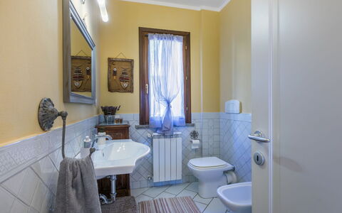 Valentina: Propriété, Miroir, Évier, Luminaire Plomberie, Violet, Bleu Azur, Salle De Bains, Architecture, Design Intérieur, Bois