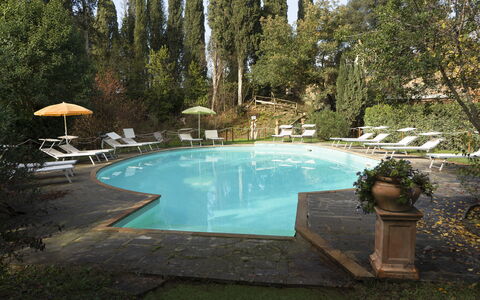 Borgo Dolciano: L'Eau, Plante, Piscine, Arbre, Plan D'Eau, Mobilier De Jardin, Ombre, Loisir, Immobilier, Paysage