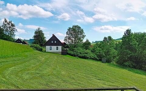 Green Valley Park Stárkov 5: Bois, Jardin, Arrière-Cour, Lot Terre, Domicile, Toit, Ombre, Plate-Forme, Dur, Cour