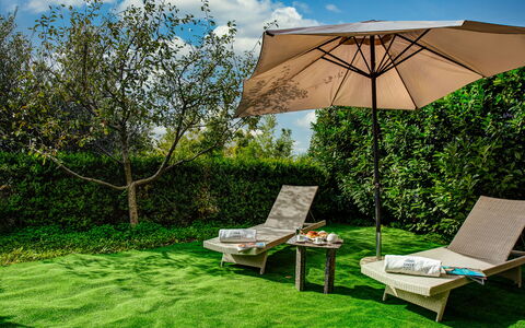Villa Sorrentina With Panoramic Terrace: Plante, Nuage, Propriété, Communauté Des Plantes, Ciel, Parapluie, Vert, Feuille, Botanique, Ombre