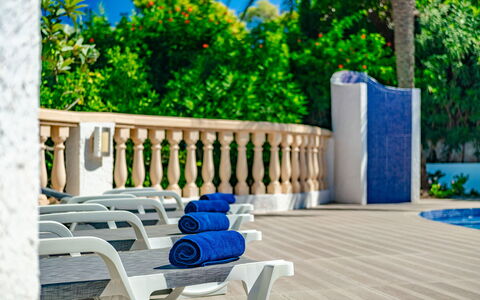 La Selva: Meubles, Plante, Bleu Azur, Bleu, Mobilier De Jardin, Bois, Arbre, Loisir, Accoudoir, Ombre
