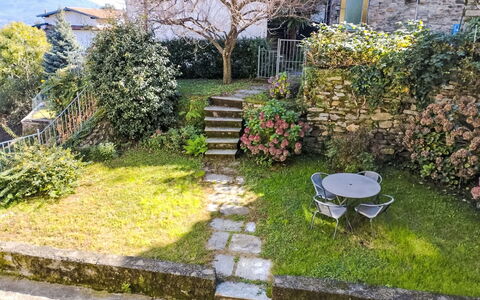 Delle Ortensie: Plante, Propriété, Arbre, Bâtiment, Surface De La Route, Végétation, Lot Terre, Herbe, Fenêtre, Paysage Naturel