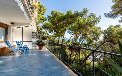 Il Nido sul Mare: Plante, Ciel, Bâtiment, Ombre, Arbre, Lumière Du Soleil, Surface De La Route, Bois, Loisir, Design Urbain