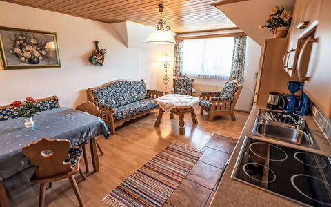 Logement:&nbsp;Dachstein 671.3