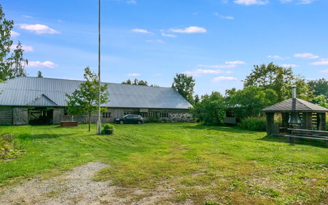 Maalaistalo Sipilä: Herbe, Toit, Plaine, Lot Terre, Zone Rurale, Chalet, Pelouse, Ombre, Jardin
