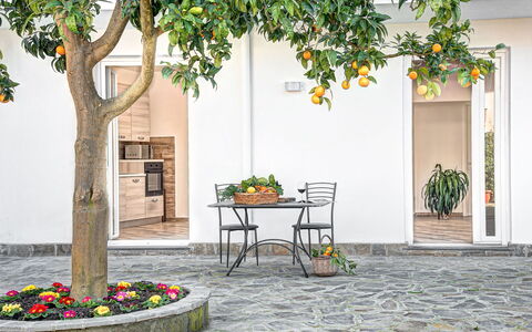 Clementine Country House: Plante, Propriété, Bâtiment, Meubles, Table, Pot De Fleur, Feuille, Surface De La Route, Architecture, Arbre