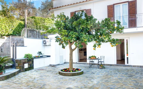 Clementine Country House: Bâtiment, Propriété, Plante, Fenêtre, Architecture, Arbre, Maison, Pot De Fleur, Design Urbain, Ciel