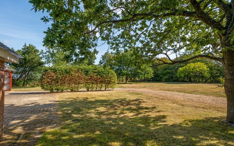 Agla - 2.5Km from the Sea: Bleu, Jour, Arbre, Branche, Feuille, Environnement Naturel, La Nature, Plaine, Paysage, Prairie