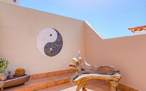 Mila Moon: Plante, Pot De Fleur, Ciel, Art, Bois, Bâtiment, Mur, Faon, Plante D'Appartement, Paysage