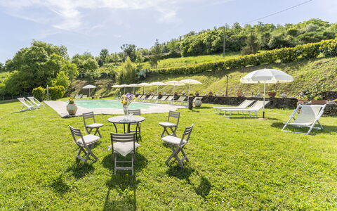Marcigliana Cottage, Pool, Radicondoli: Herbe, Paysage, Lot Terre, Couverture De Sol, Jardin, Printemps, Prairie, Mobilier De Jardin, Loisir, Pelouse