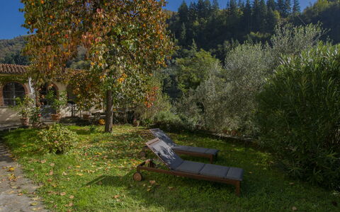 Corsonna: Plante, Ciel, Communauté Des Plantes, Paysage Naturel, Arbre, Lot Terre, Herbe, Mobilier De Jardin, Suppression Des Plantes Ligneuses, Arbuste