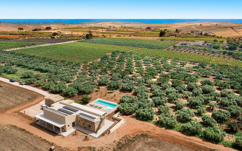 Cavial: Ciel, Plante, Propriété, Communauté Des Plantes, Fleur, Lot Terre, Arbre, Paysage Naturel, Agriculture, Paysage