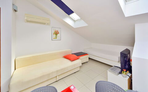 Logement:&nbsp;Jasmina 250.4